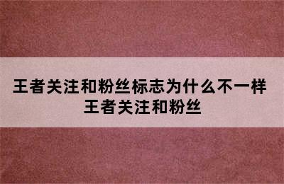 王者关注和粉丝标志为什么不一样 王者关注和粉丝